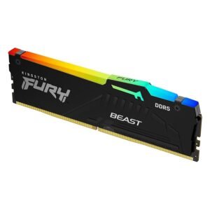 Kingston Fury Beast RGB - 1 x 16 Go (16 Go) - DDR5 5600 MHz - CL36